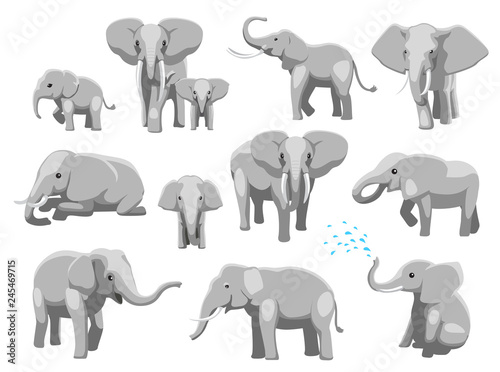 Various Elephant Poses Cartoon Vector Illustration