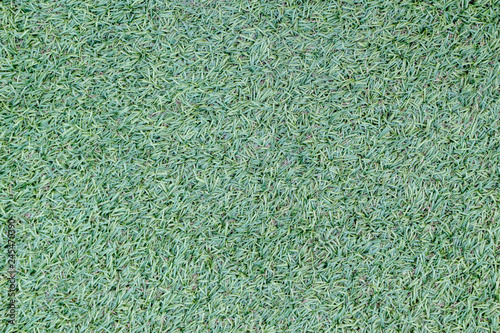 artificial green grass