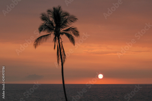 Hawaiian Sunset 1