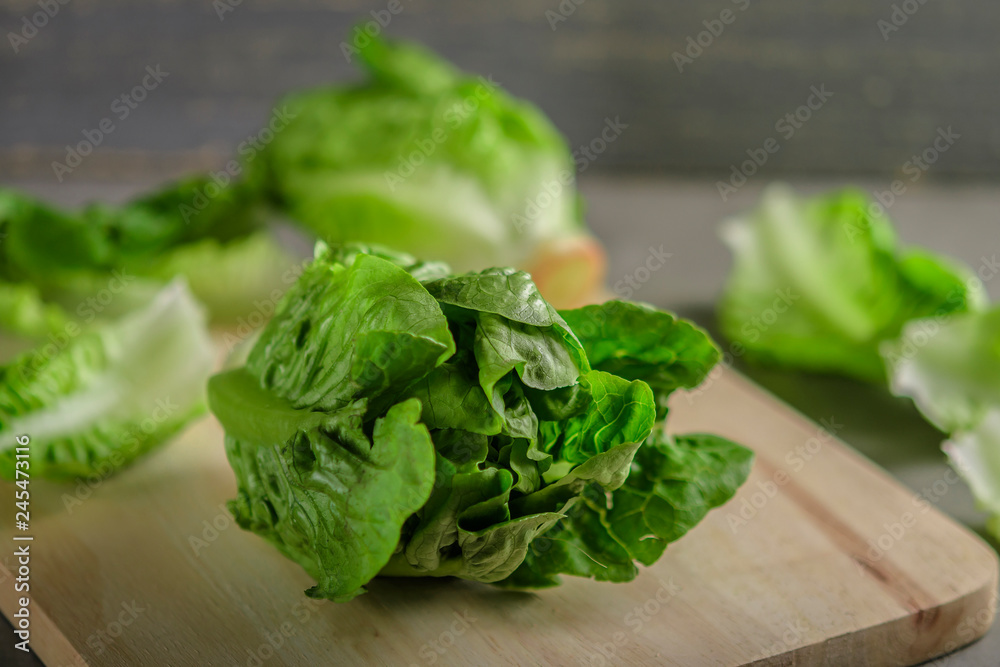 ripe organic green salad Romano on a cutting board ripe organic green salad Romano on a cutting board