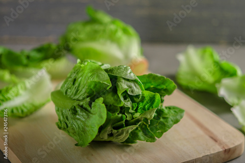 Obraz na płótnie ripe organic green salad Romano on a cutting board w salonie