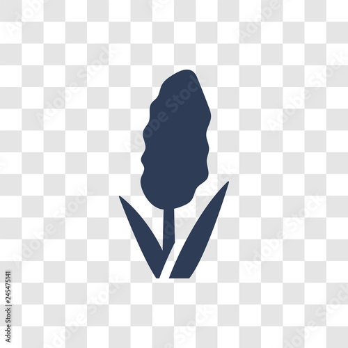 Hyacinth icon vector