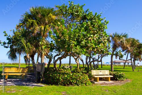 Park, Vero Beach, Florida photo