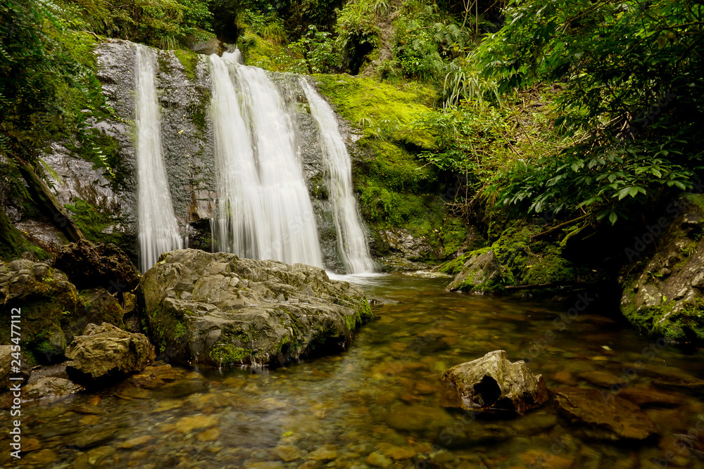 Fototapeta premium Waterfall Surrounded by Greenery