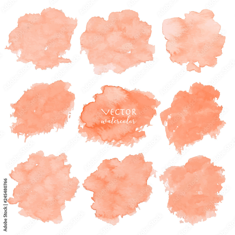 Orange watercolor set on white background, Vector illustration..