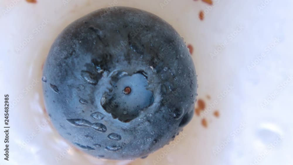 Blueberries Closeup Macro with Water Mist Drops Blueberries Closeup Macro with Water Mist Drops
