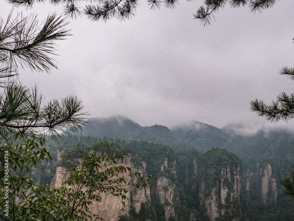 Obraz premium Beautiful mountain of Yuanjiajie or Avartar mountain at Zhangjiajie National Forest Park in Wulingyuan District Zhangjiajie City China in the Foggy day.