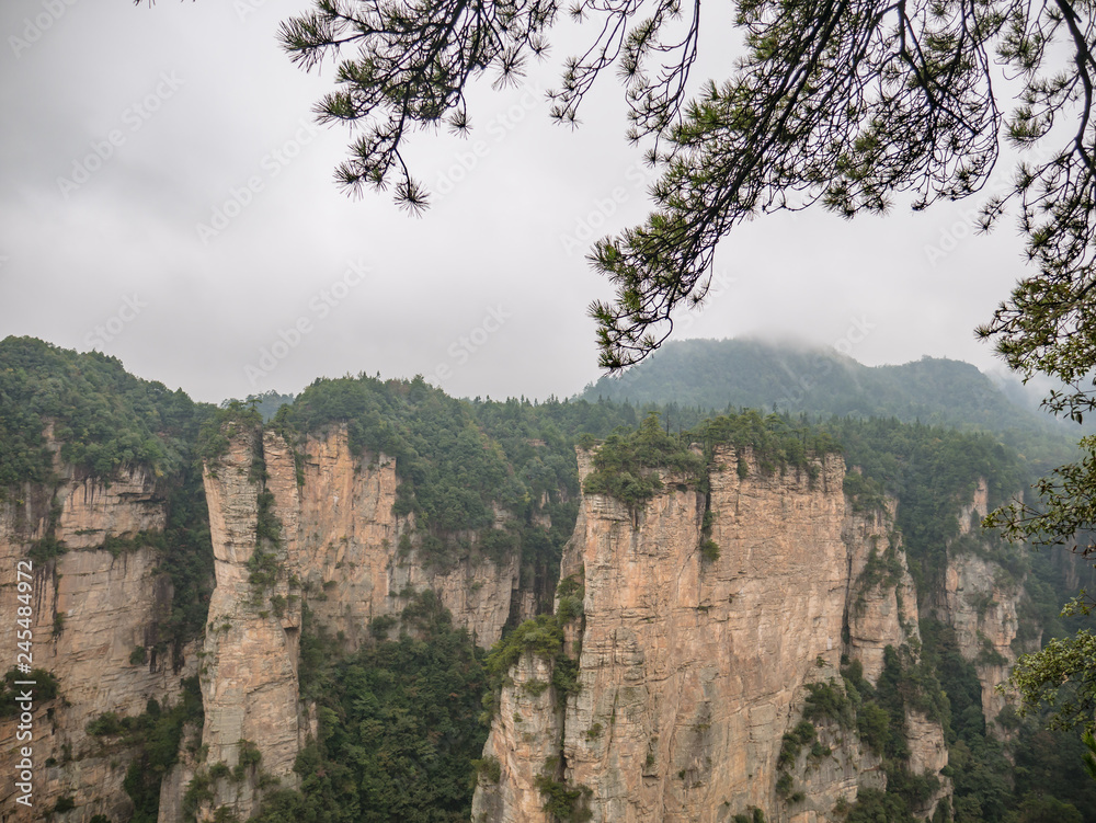 Beautiful mountain of Yuanjiajie or Avartar mountain at Zhangjiajie National Forest Park in Wulingyuan District Zhangjiajie City China in the Foggy day.