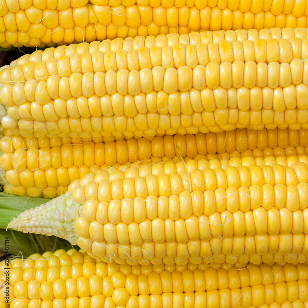 Ripe corn in a clay bowl. Ripe corn in a clay bowl.