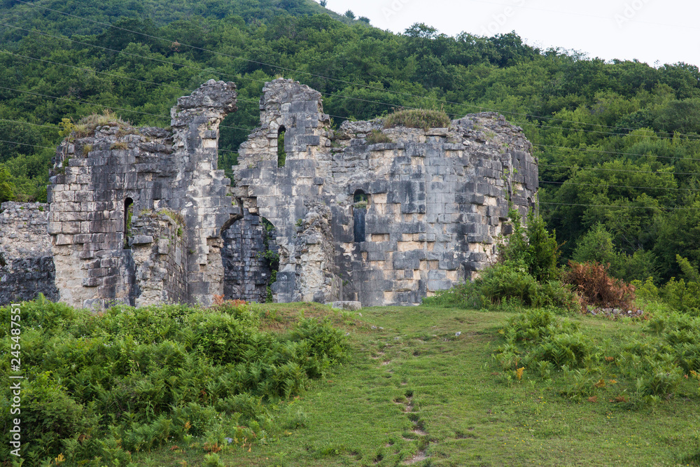 ruins of an ancient temple in the forest