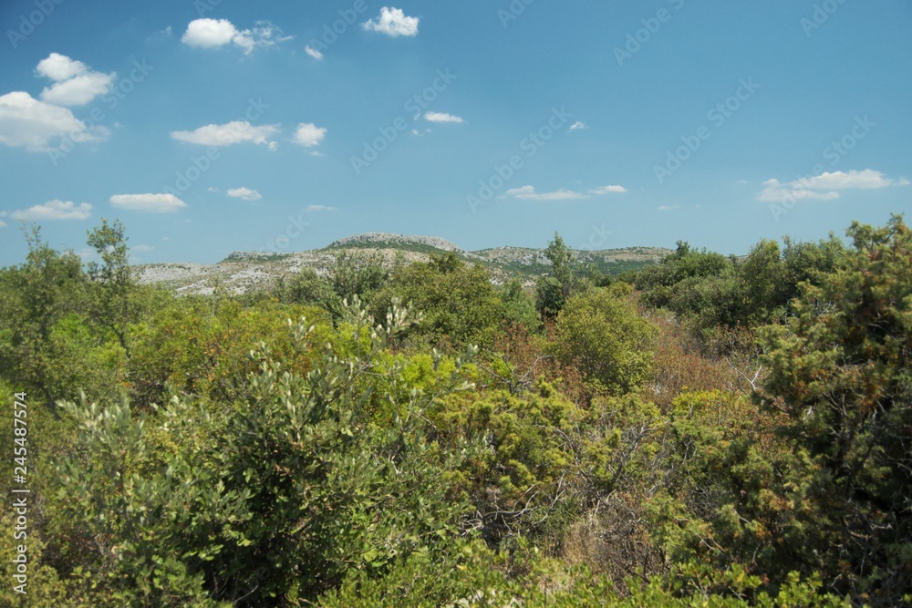 Lake Vrana. Reserve in Croatia. Walking the shores of Lake