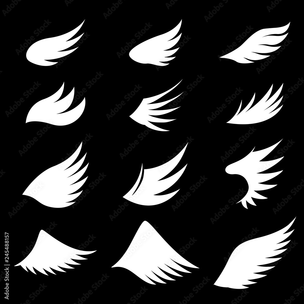 Obraz premium Set of white wings on black background