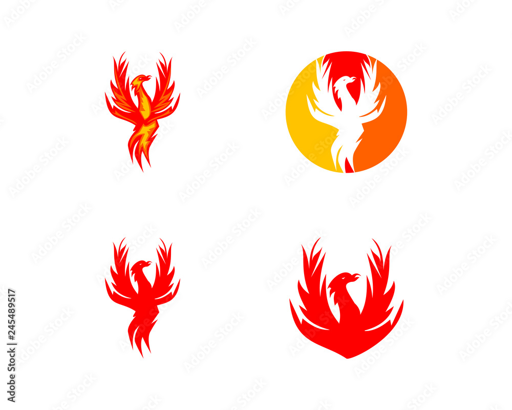 Fototapeta premium Set of Phoenix logo design template