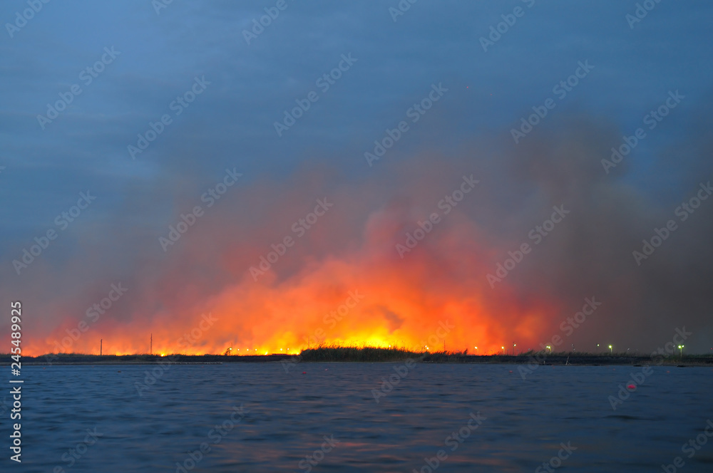 A large fire in a field near the water