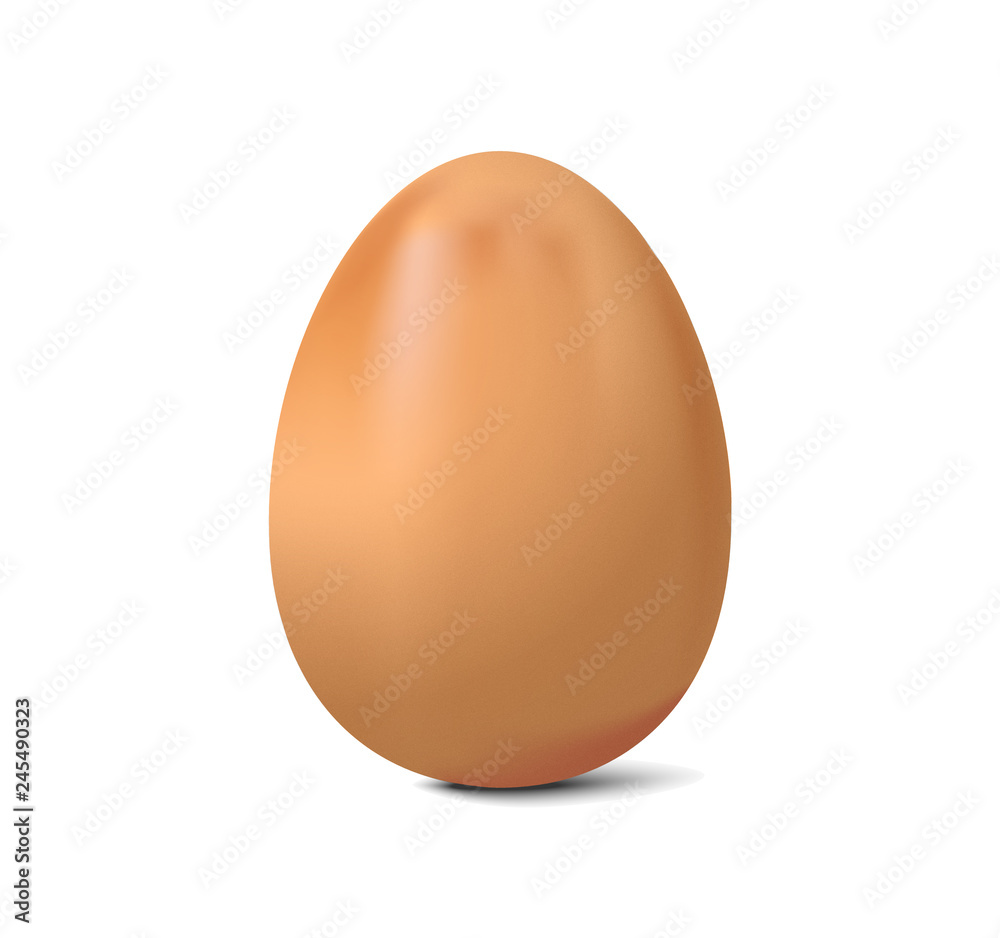 realistic chicken egg isolated on white background