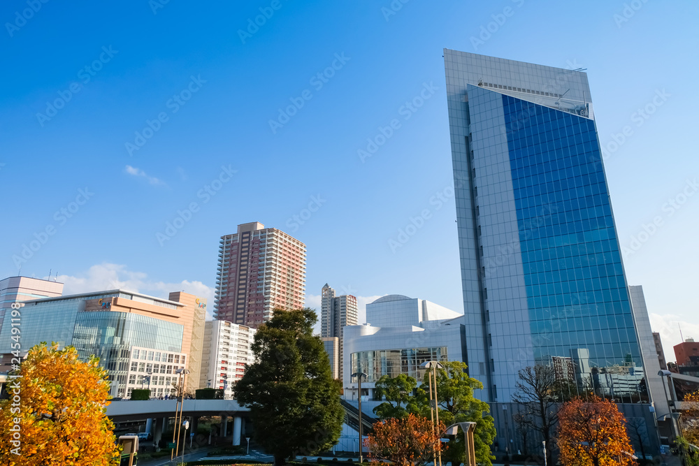 Obraz premium 川口駅前 街並み