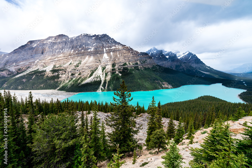 Obraz premium Aussicht auf den Peyto Lake