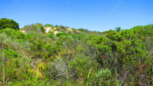 coorong national park, australia