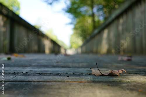 In the foreground a dry autumn leaf against the background of the bridge in a blurred frame