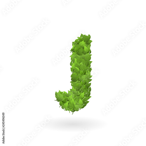 J letter of vector nature green eco leaves