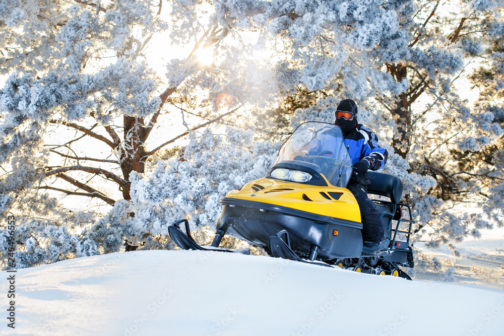 Man on a snowmobile moving in the winter forest in sunrise winter day