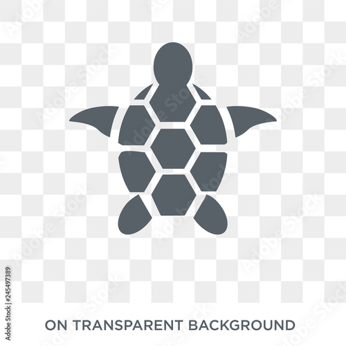 Sea turtle icon. Sea turtle design concept from Summer collection. Simple element vector illustration on transparent background.