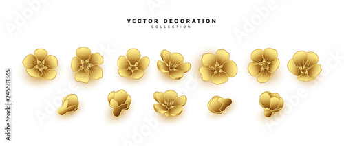 Flower blossom sakura. Design of realistic floral buds isolated on white background