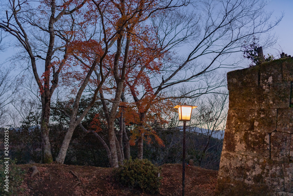 秋の夕暮れ岡城址