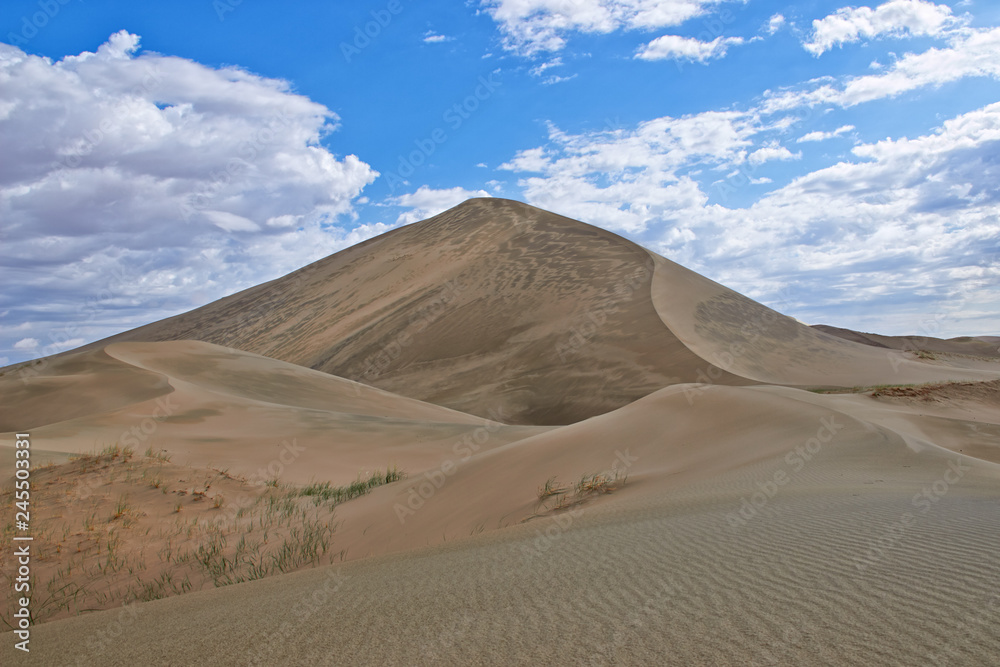 Desert landscape