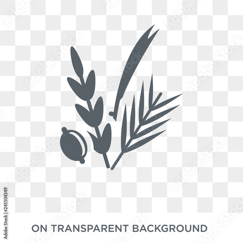 Four Species icon. Trendy flat vector Four Species icon on transparent background from Religion  collection. High quality filled Four Species symbol use for web and mobile