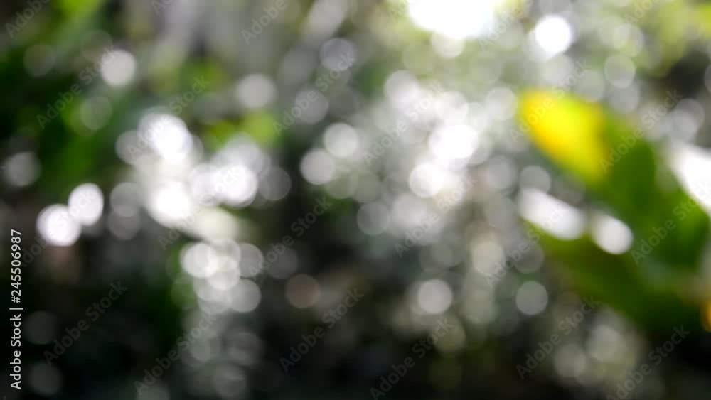 abstract, bokeh, light, blur, green, blurred, nature, bright, christmas, color, defocused, lights, pattern, spring, decoration, shiny, holiday, design, soft, texture, yellow, summer, shine, focus, nat abstract, bokeh, light, blur, green, blurred, nature, bright, christmas, color, defocused, lights, pattern, spring, decoration, shiny, holiday, design, soft, texture, yellow, summer, shine, focus, nat