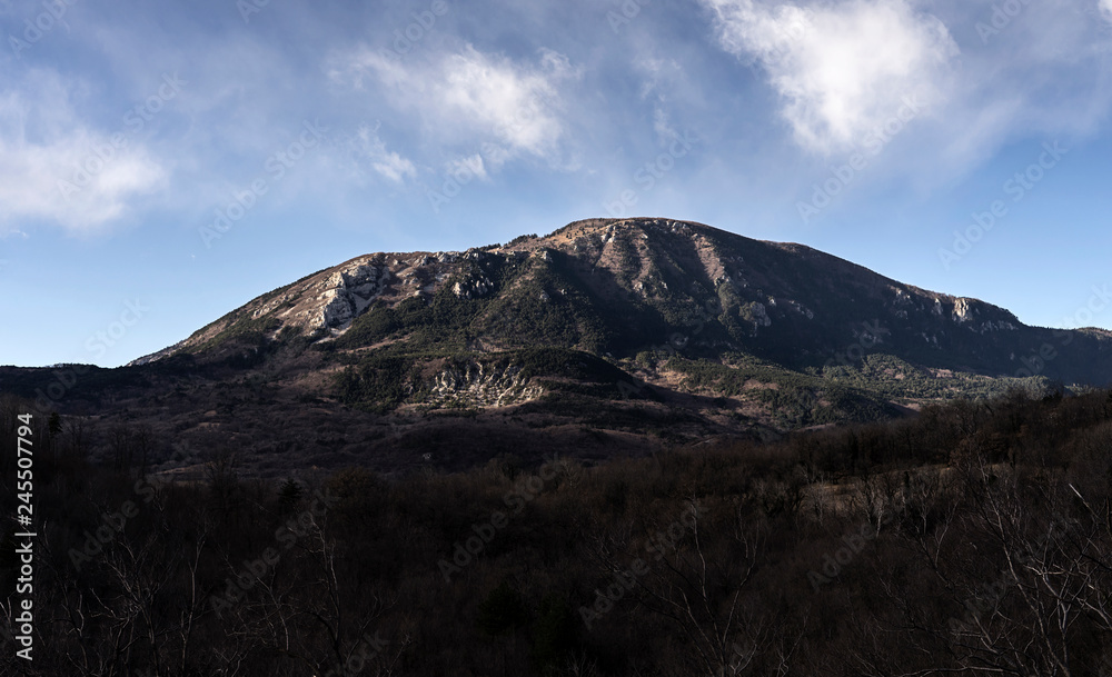 Fototapeta premium Little mountain top covered with trees