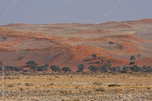 Sanddünen im Namib-Rand-Gebiet (Namibia)