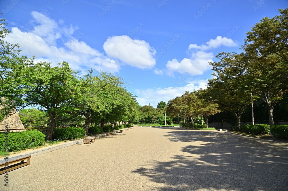 Fototapeta premium 大阪城公園