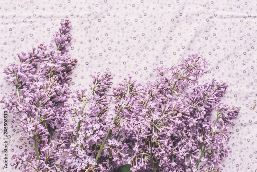 Spring flowers. Lilac flowers petals on white fabric background. Top view, flat lay Spring flowers. Lilac flowers petals on white fabric background. Top view, flat lay