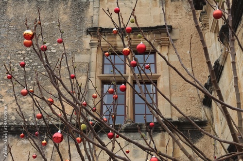 FENETRE DU CHATEAU - VILLAGE DE LOURMARIN - VAUCLUSE - PROVENCE - FRANCE photo