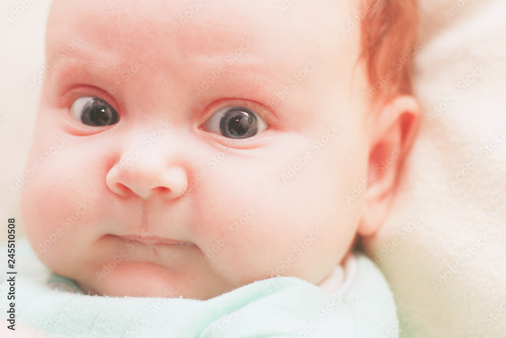 Portrait of the lovely girl of the baby. Portrait of the lovely girl of the baby.