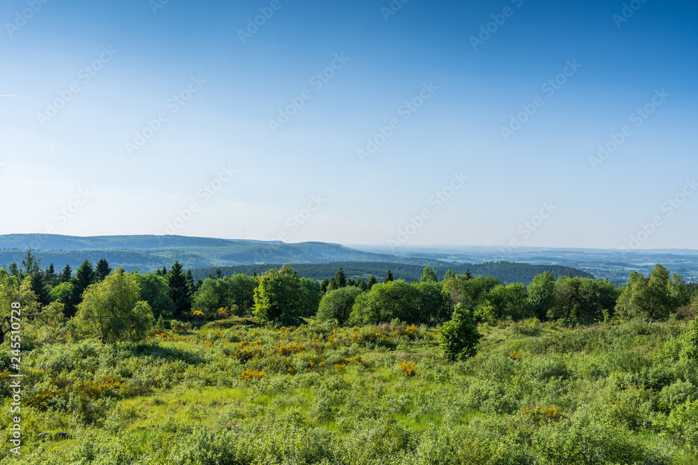 Teutoburg Forest view of  Velmerstot hill, Germany