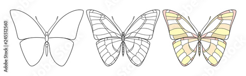 Beautiful butterfly icon. Vector set illustration is isolated on a white background. Insects art. Decorative element with for design.