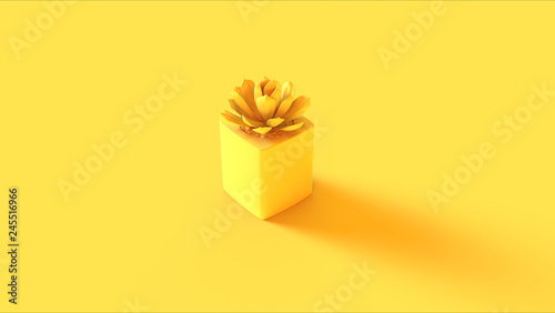 Yellow Succulent 3d illustration 3d rendering