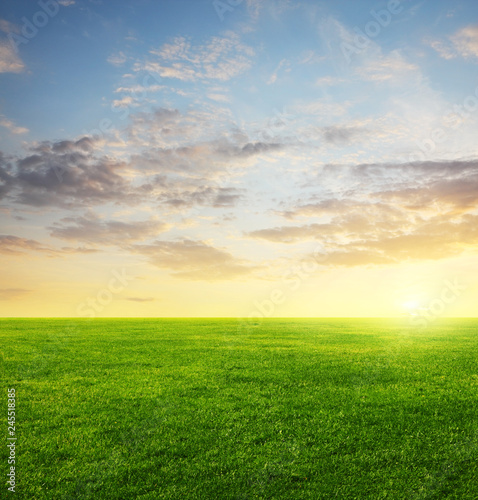 Image of green grass field and evening cloudy sky