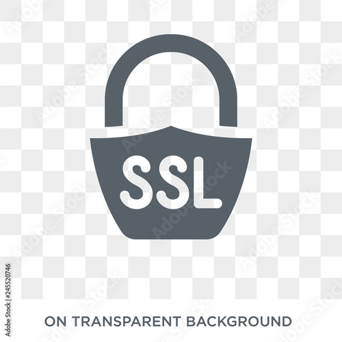 Ssl icon. Trendy flat vector Ssl icon on transparent background from Internet Security and Networking collection. High quality filled Ssl symbol use for web and mobile