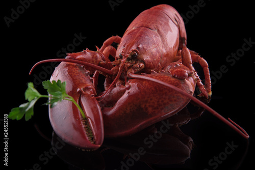 Delicious red lobster just boiled with fresh green parsley salad on black reflected background 2