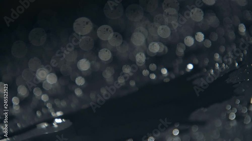 Streams of rainy water flowing among splashing dark spots in slow motion 