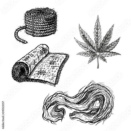 Hand drawn set with hemp leaf cannabis fiber cloth and rope. Vintage vector sketch of marijuana
