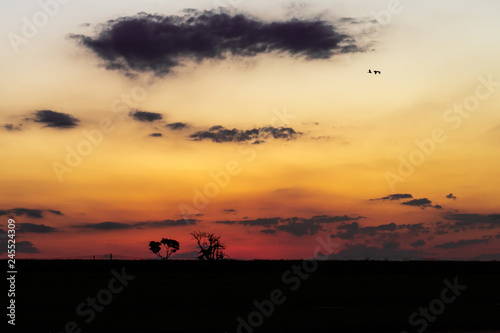 Fototapeta Naklejka Na Ścianę i Meble -  End of the day - sunset