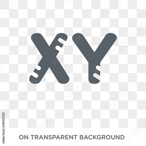Masculine Chromosomes icon. Trendy flat vector Masculine Chromosomes icon on transparent background from Human Body Parts collection. High quality filled Masculine Chromosomes symbol use for web and photo