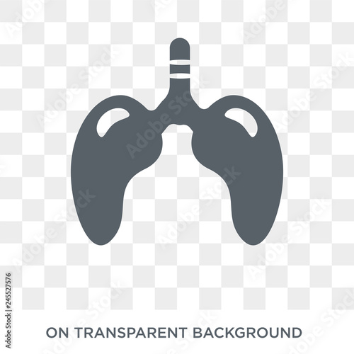 Lungs with the trachea icon. Trendy flat vector Lungs with the trachea icon on transparent background from Human Body Parts collection. High quality filled Lungs with the trachea symbol use for web