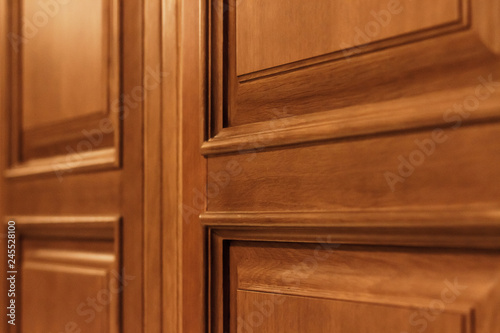 Front view of parts of the beautiful wooden door close up