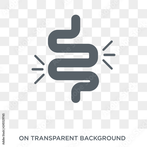 Intestine icon. Trendy flat vector Intestine icon on transparent background from Health and Medical collection. High quality filled Intestine symbol use for web and mobile